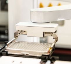 Pfenex Expression Technology lab 2