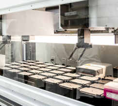 Pfenex Expression Technology lab 4