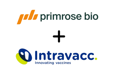 Intravacc and Primrose Bio Announce Partnership to Enhance Conjugate Vaccine Development