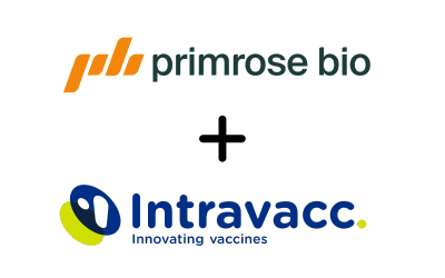 Intravacc and Primrose Bio Announce Partnership to Enhance Conjugate Vaccine Development