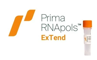 Primrose Bio Launches Prima RNApols™ ExTend, an RNA Polymerase for Long-Template mRNA Manufacturing