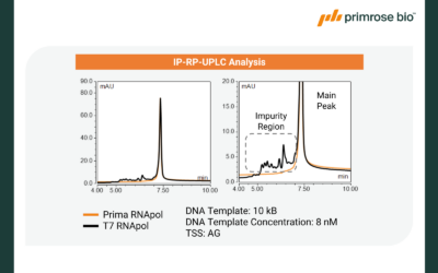 Presented at TIDES USA 2025: Advancing mRNA therapeutics with high performance RNA polymerases