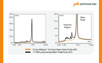 Presented at TIDES USA 2025: Prima RNApols™ ExTend: rewriting the rules of long mRNA manufacturing​