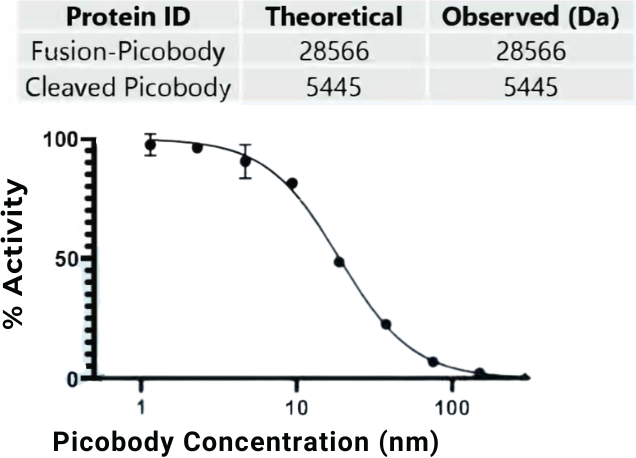 graph 8 How Pfenex Expression Technology® Works | Primrose Bio