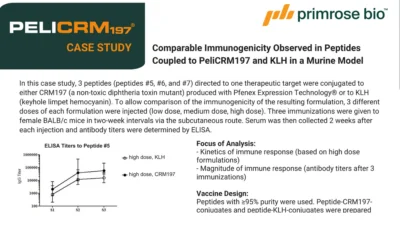 Comparable Immunogenicity Observed in Peptides Coupled to PeliCRM197 and KLH in a Murine Model