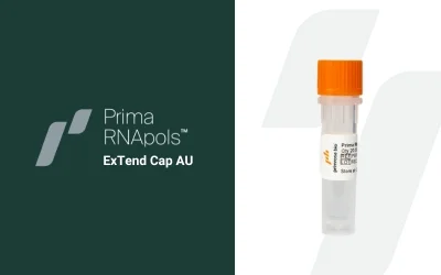 Primrose Bio Launches Prima RNApols™ ExTend Cap AU, a Next-Gen RNA Polymerase for Self-Amplifying mRNA
