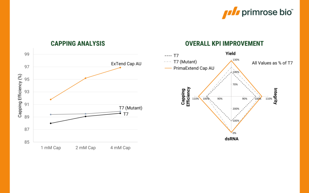 Presented at 13th International mRNA Health Conference: Prima RNApols™: Engineered Enzymes Powering the Future of mRNA Therapeutics