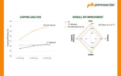 Presented at 13th International mRNA Health Conference: Prima RNApols™: Engineered Enzymes Powering the Future of mRNA Therapeutics