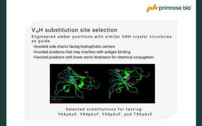 Presented at PEGS EU 2025: Preclinical Development of a VHH-ADC Using the Pfenex Platform
