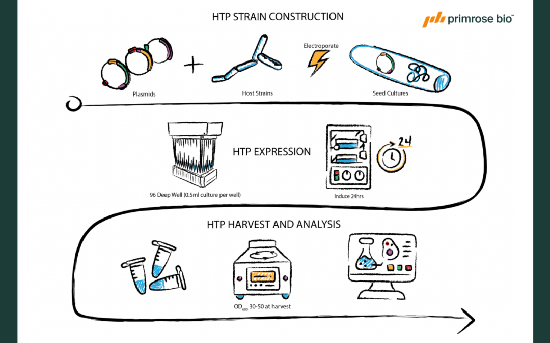 Presented at the BioProcess International US West (BPI West) 2026: Engineered Fusion Partners Enabling HighYield Recombinant Peptide Production