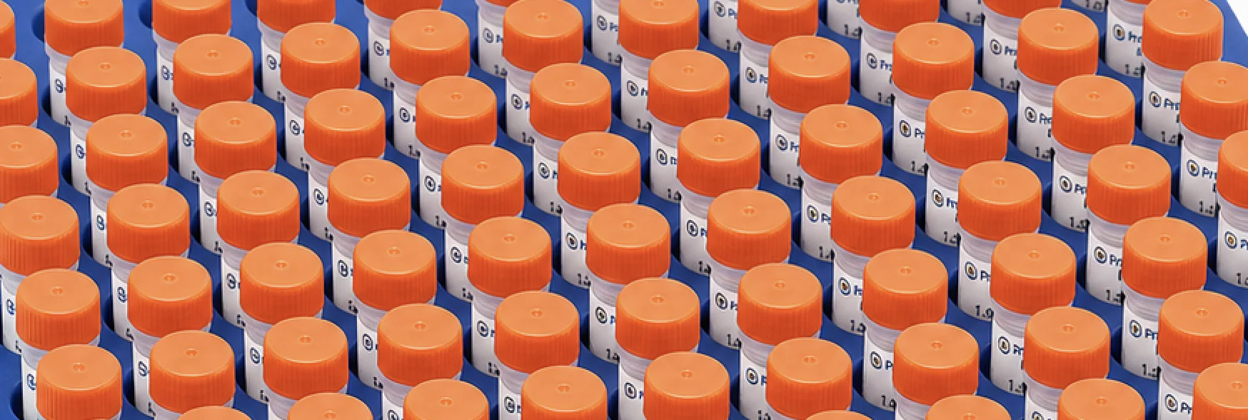 Research cell bank vials