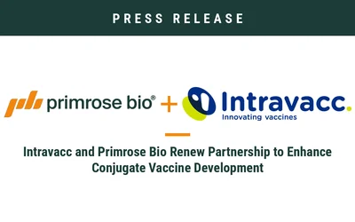 Intravacc and Primrose Bio Renew Partnership to Enhance Conjugate Vaccine Development