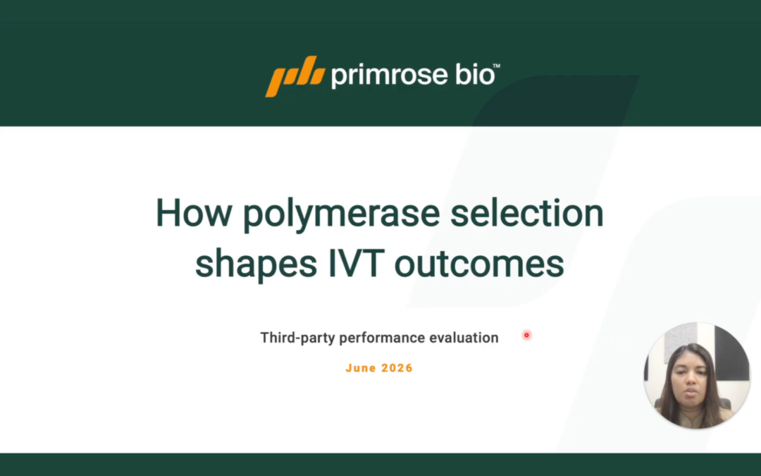 How Polymerase Selection Improves IVT Outcomes