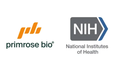 Primrose Bio Awarded NIH Grant to Develop Genetic Medicine Drug Design Technology