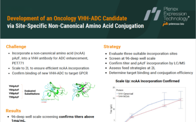 Development of an Oncology VHH-ADC Candidate via Site-Specific Non-Canonical Amino Acid Conjugation