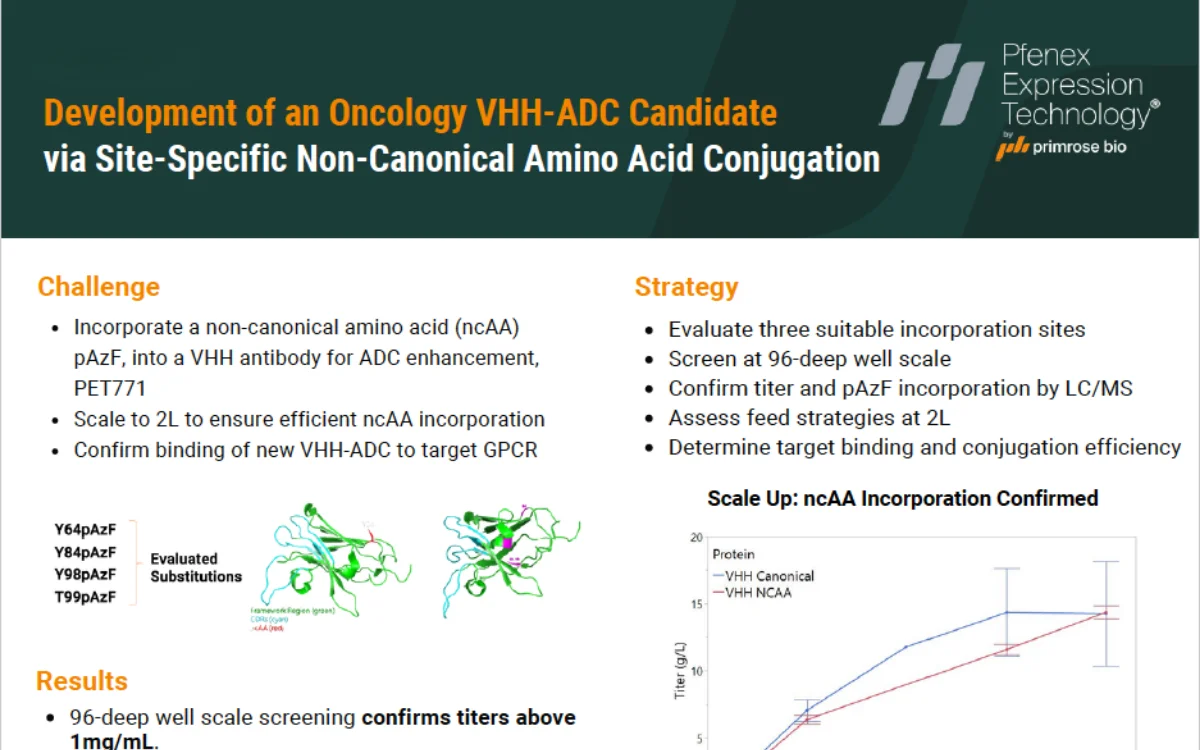 Development of an Oncology VHH-ADC Candidate