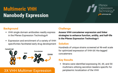 Multimeric VHH Nanobody Expression