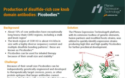 Production of disulfide-rich cow knob domain antibodies: Picobodies™