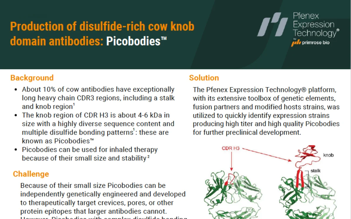 Production of disulfide-rich cow knob