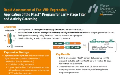 Rapid Assessment of Fab-VHH Expression Application of the Pfast™ Program for Early-Stage Titer and Activity Screening