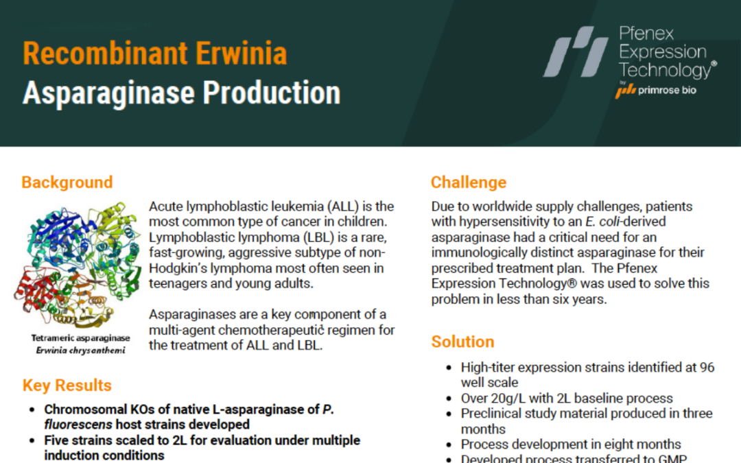 Recombinant Erwinia Asparaginase Production
