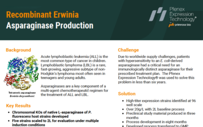 Recombinant Erwinia Asparaginase Production