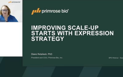 Improving Scale-up Starts With Expression Strategy
